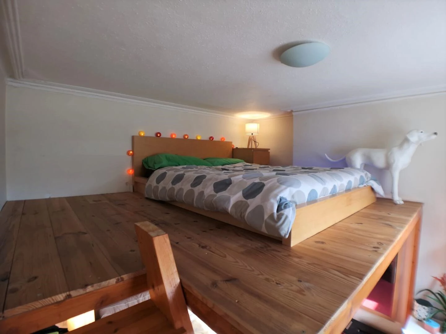 Loft