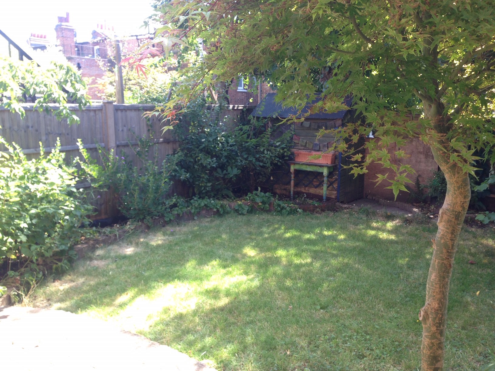 Photo 7