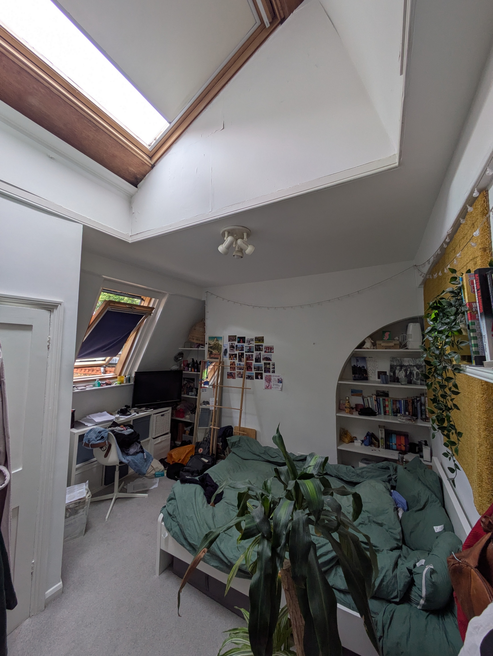 Photo 5