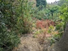 Photo 2 Photo 2
