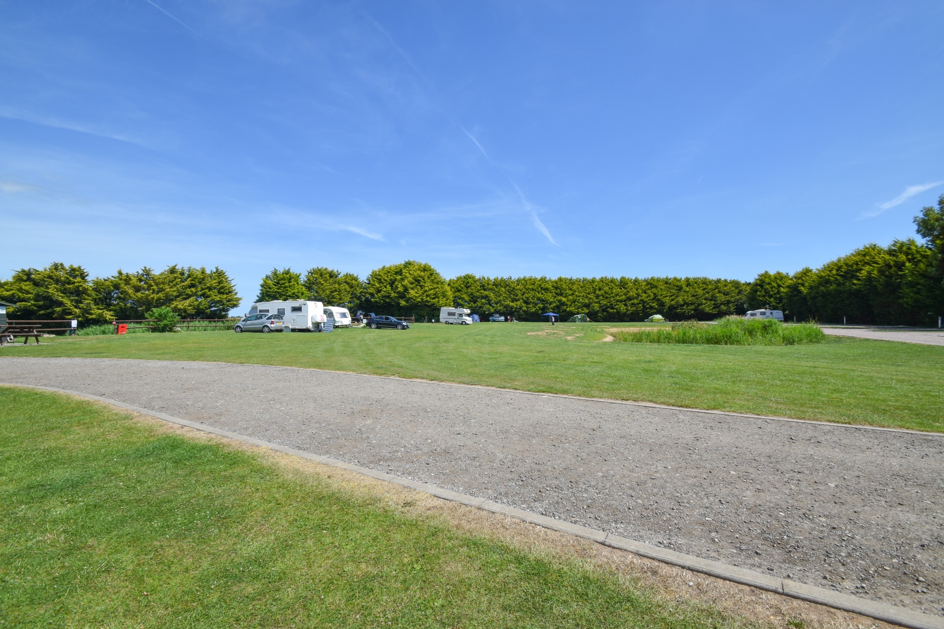 site