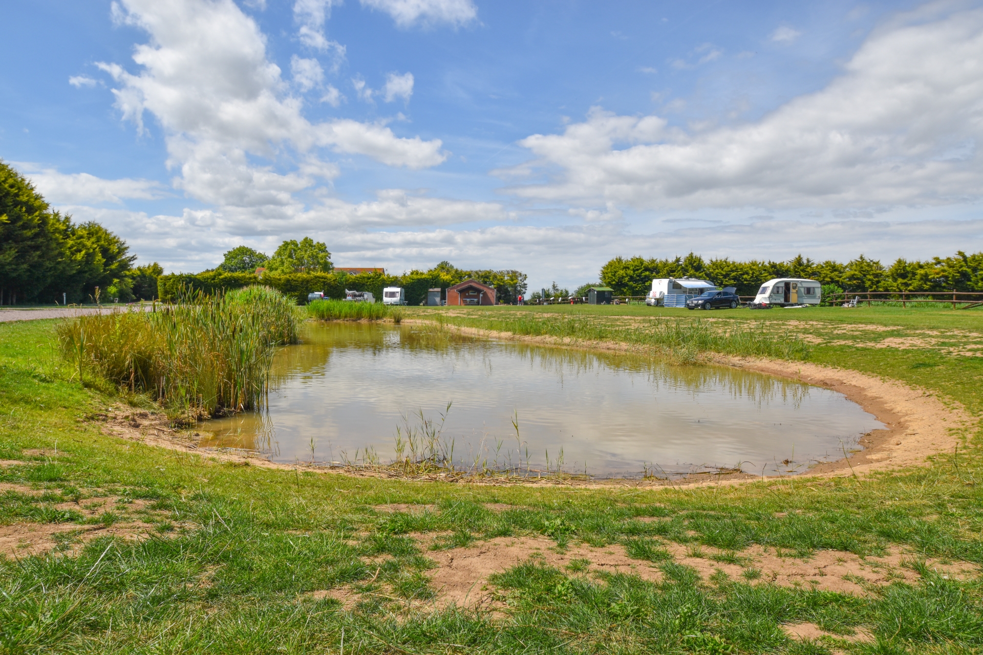 stock pond