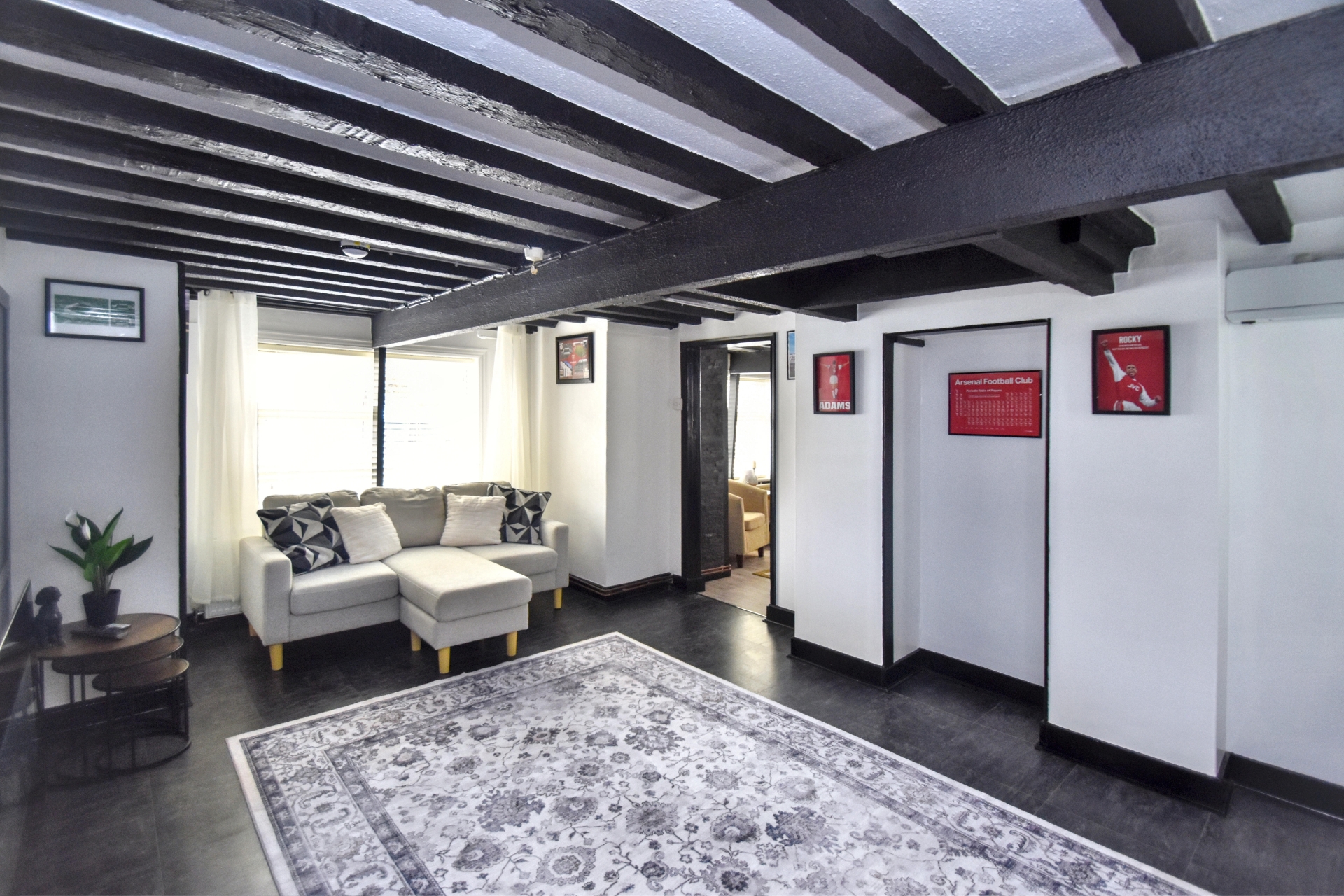 Entertainment Room