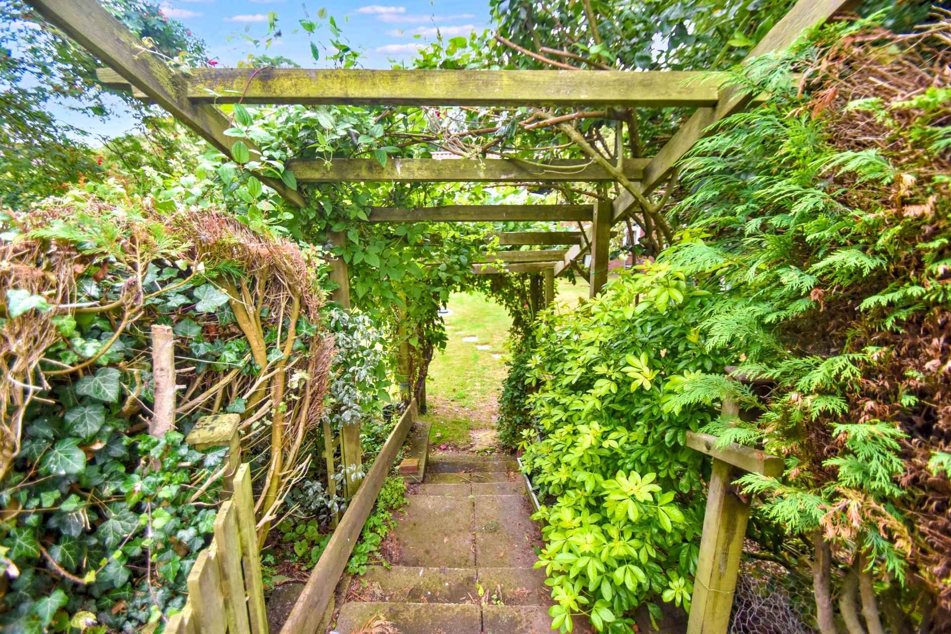 garden