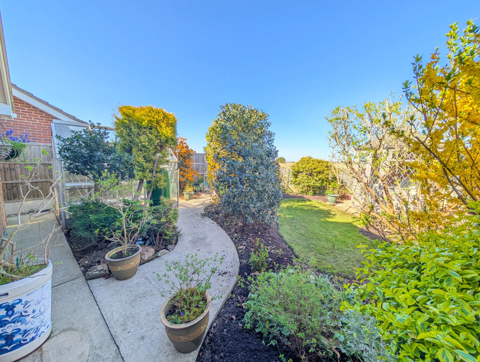 garden