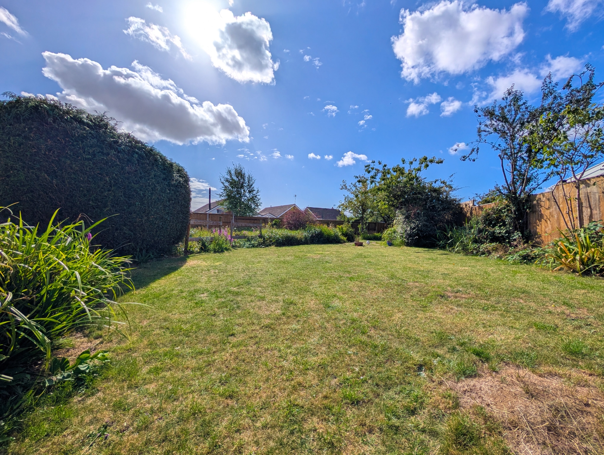 garden