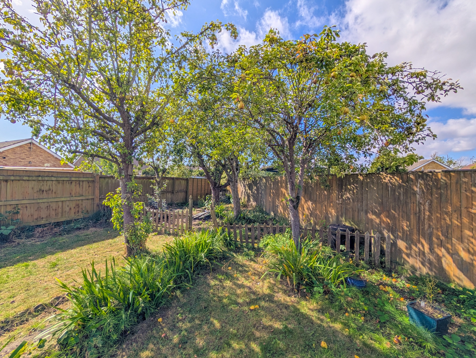 garden