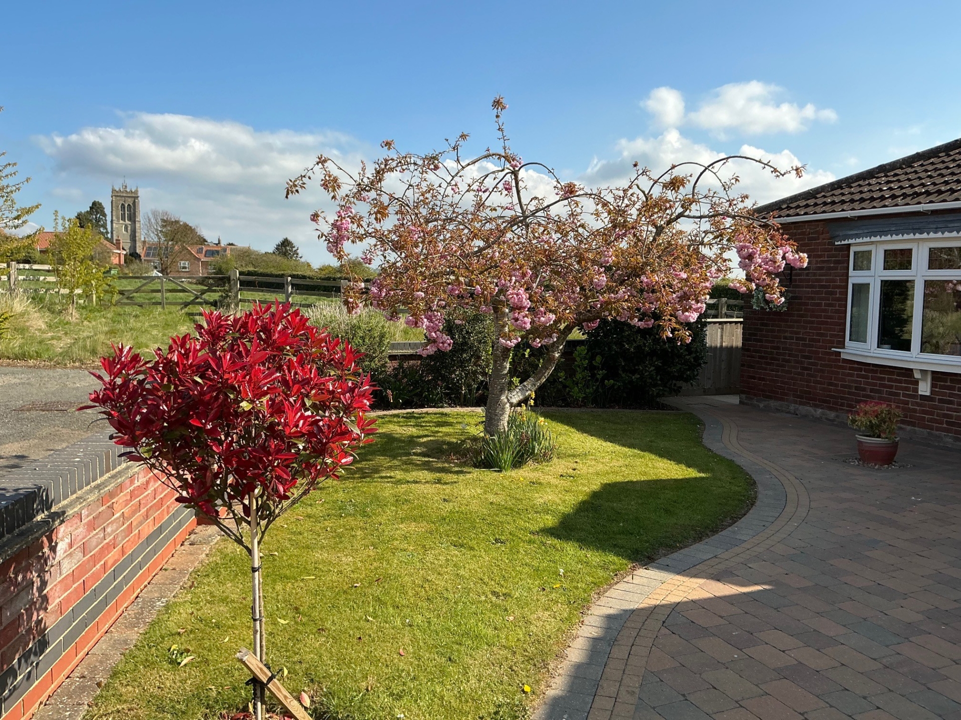 Photo from Spring 2025