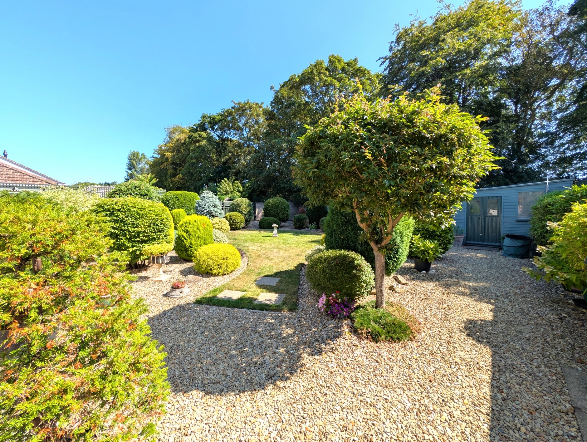 Garden