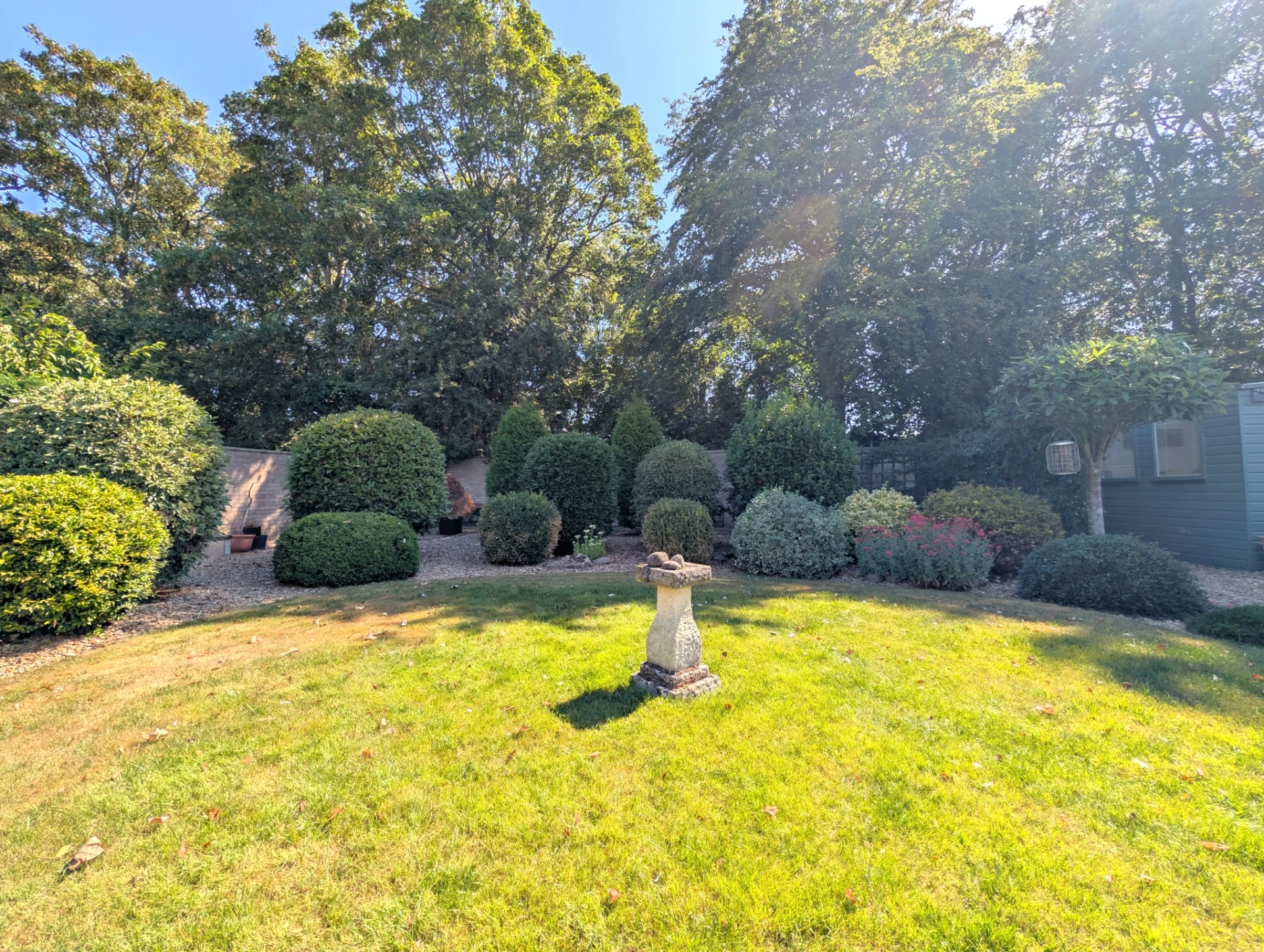 Garden