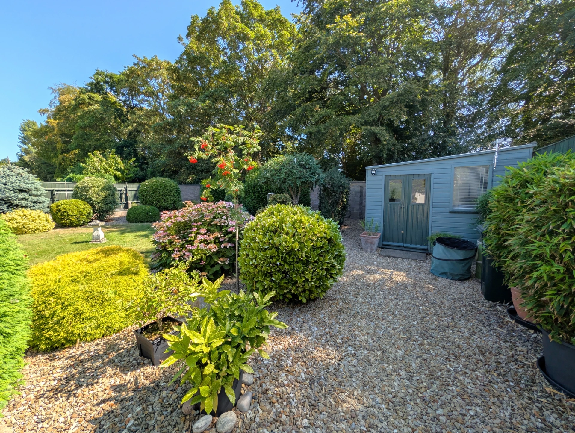 Garden