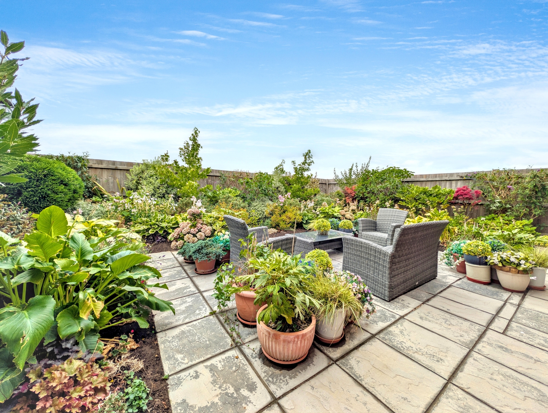 rear garden