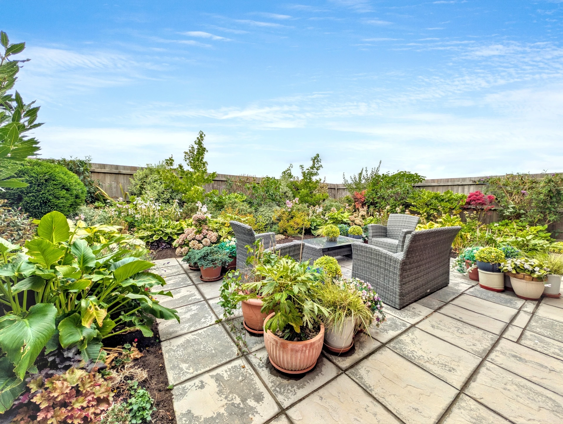 rear garden