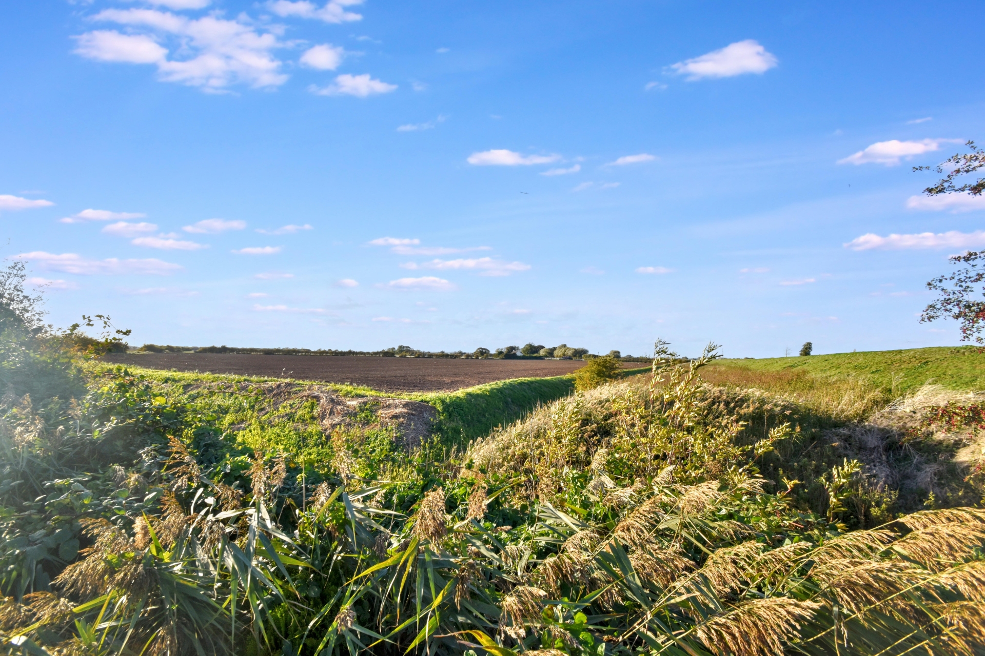 View over open fields