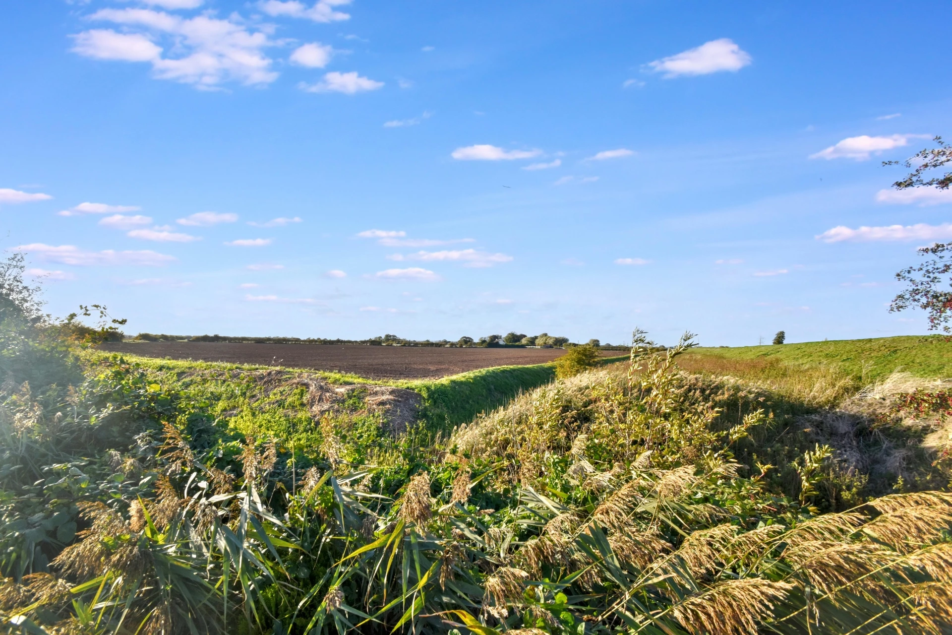 View over open fields