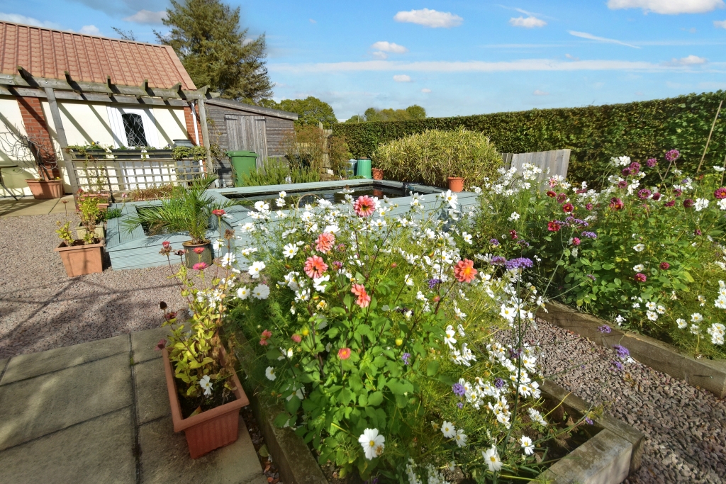 Kitchen Garden