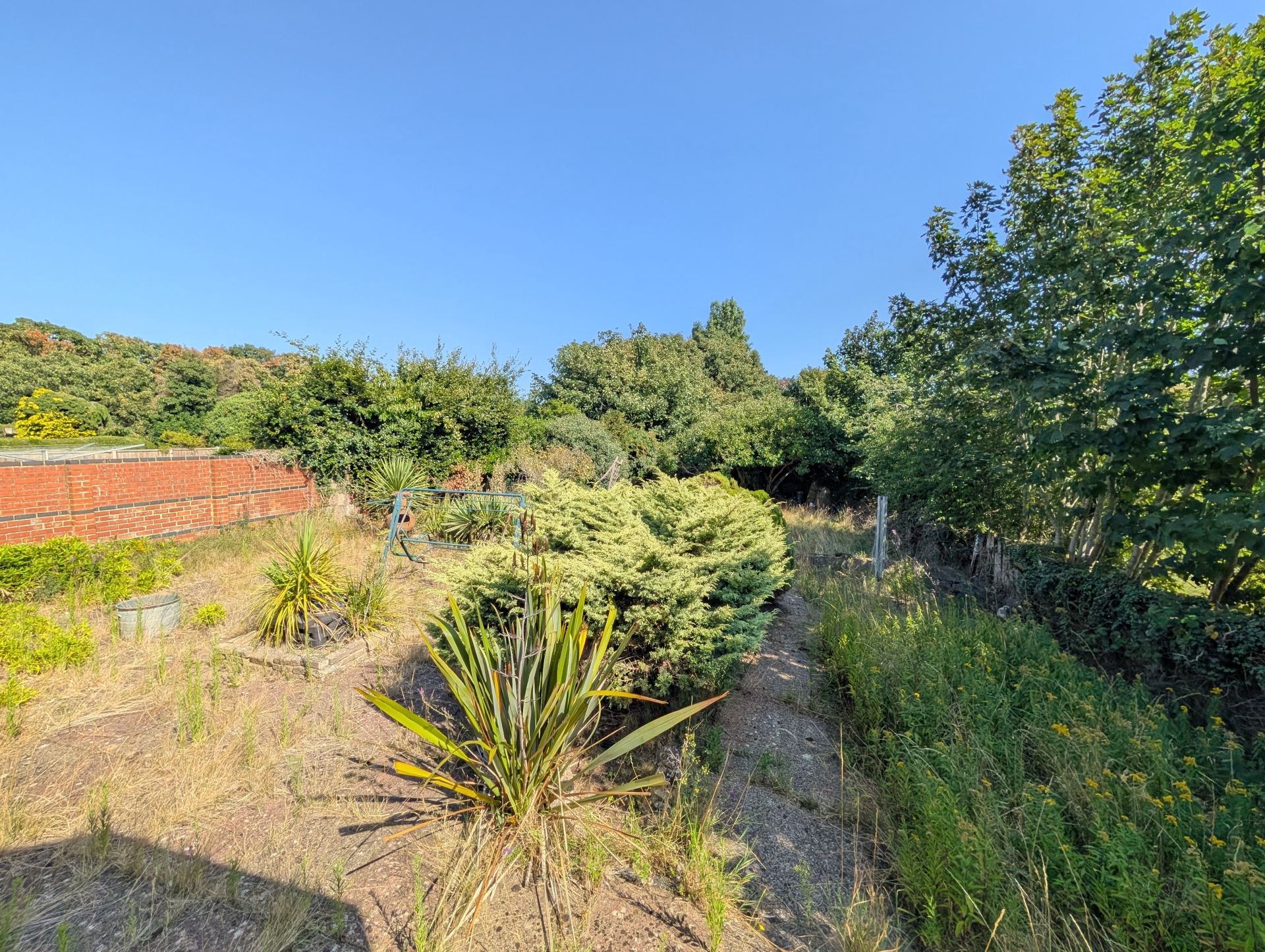 garden
