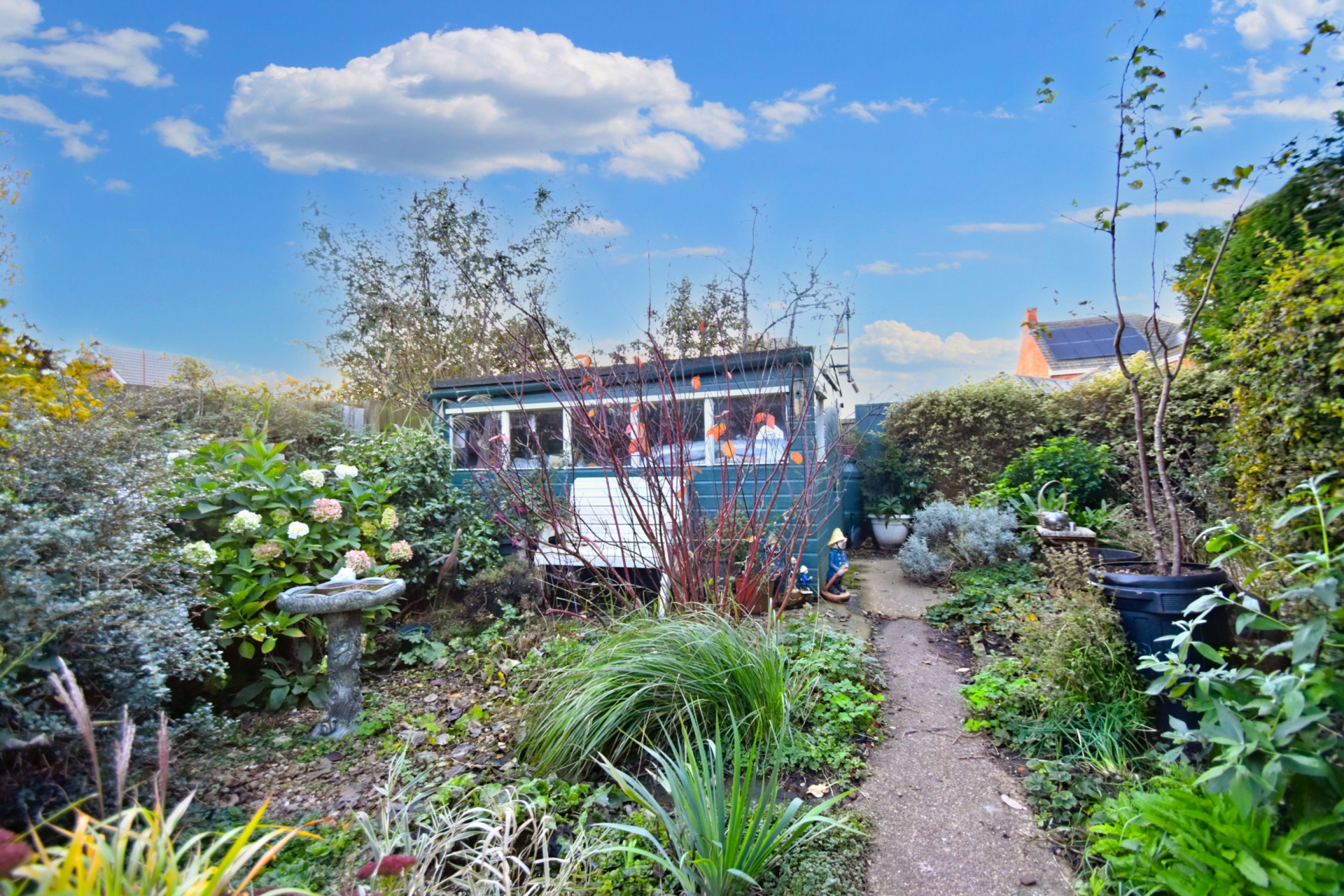 garden