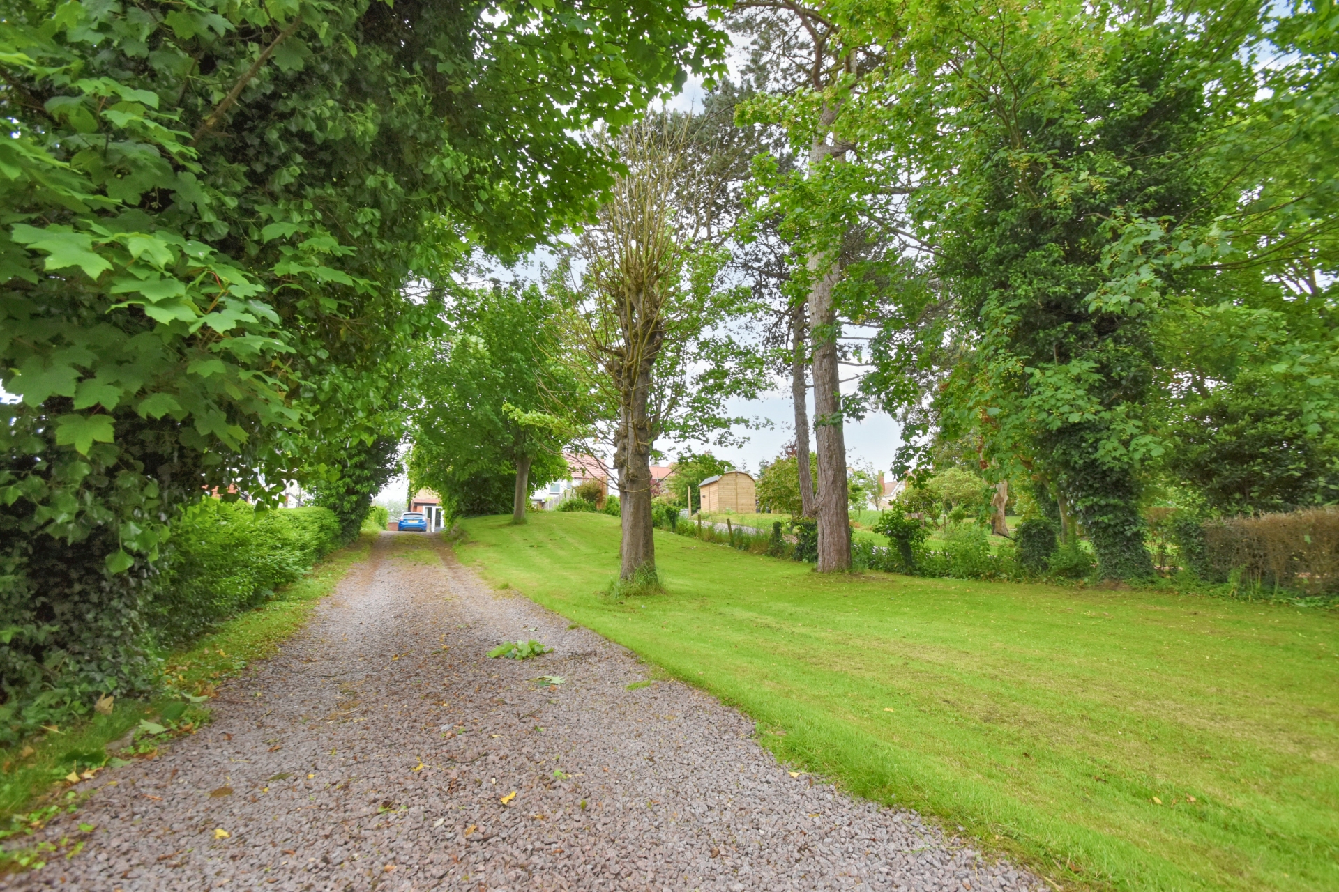 rear gardens/entrance