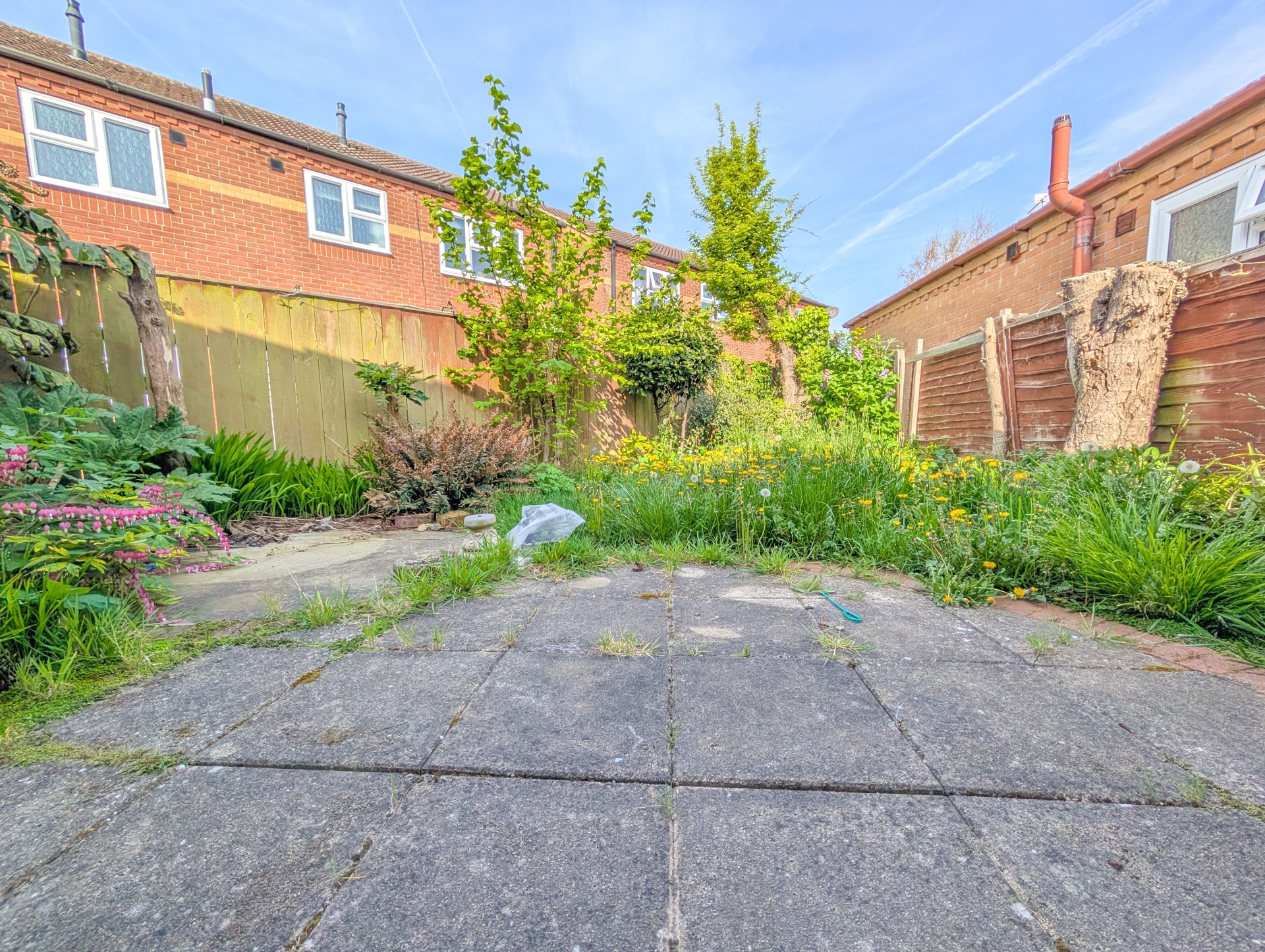 garden