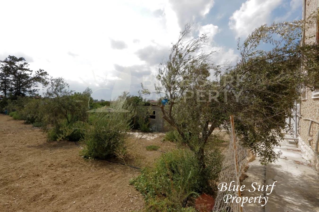 Photo 25