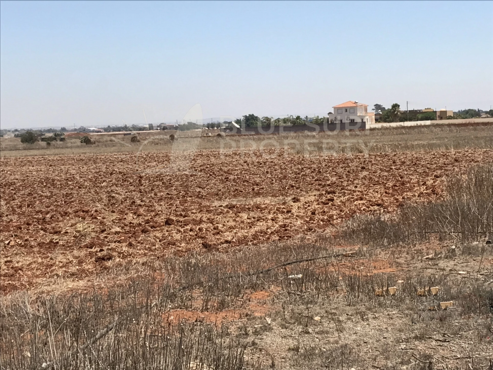 Avgorou Famagusta