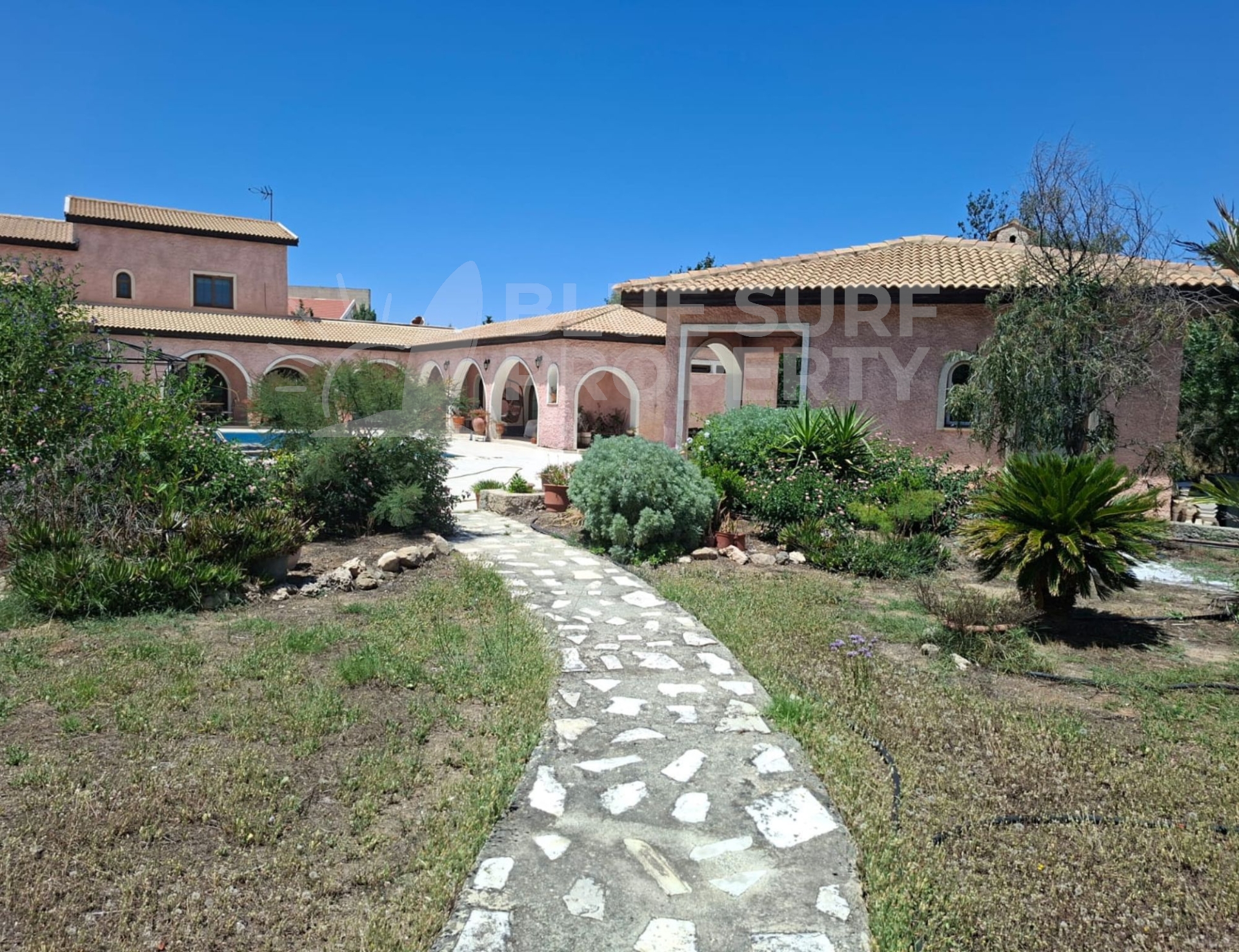 Photo 8