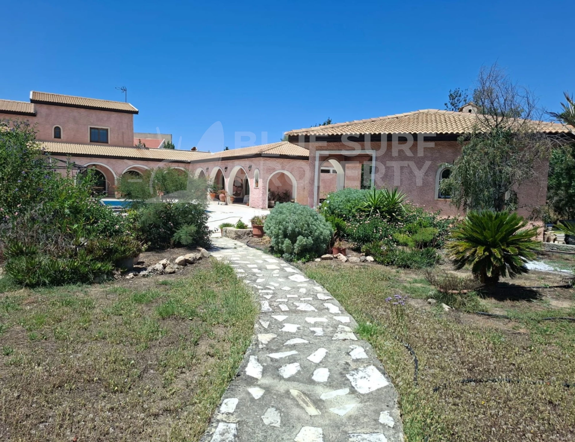 Photo 8