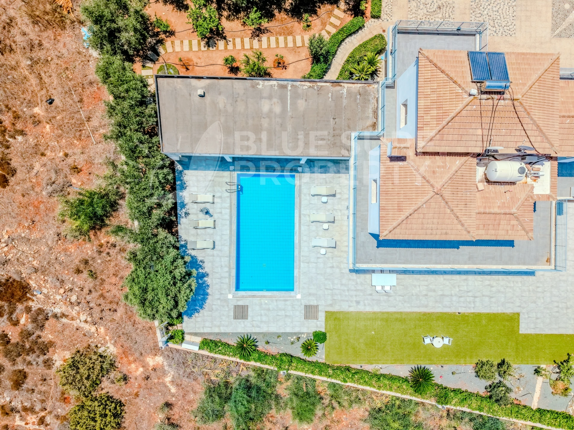Photo 50