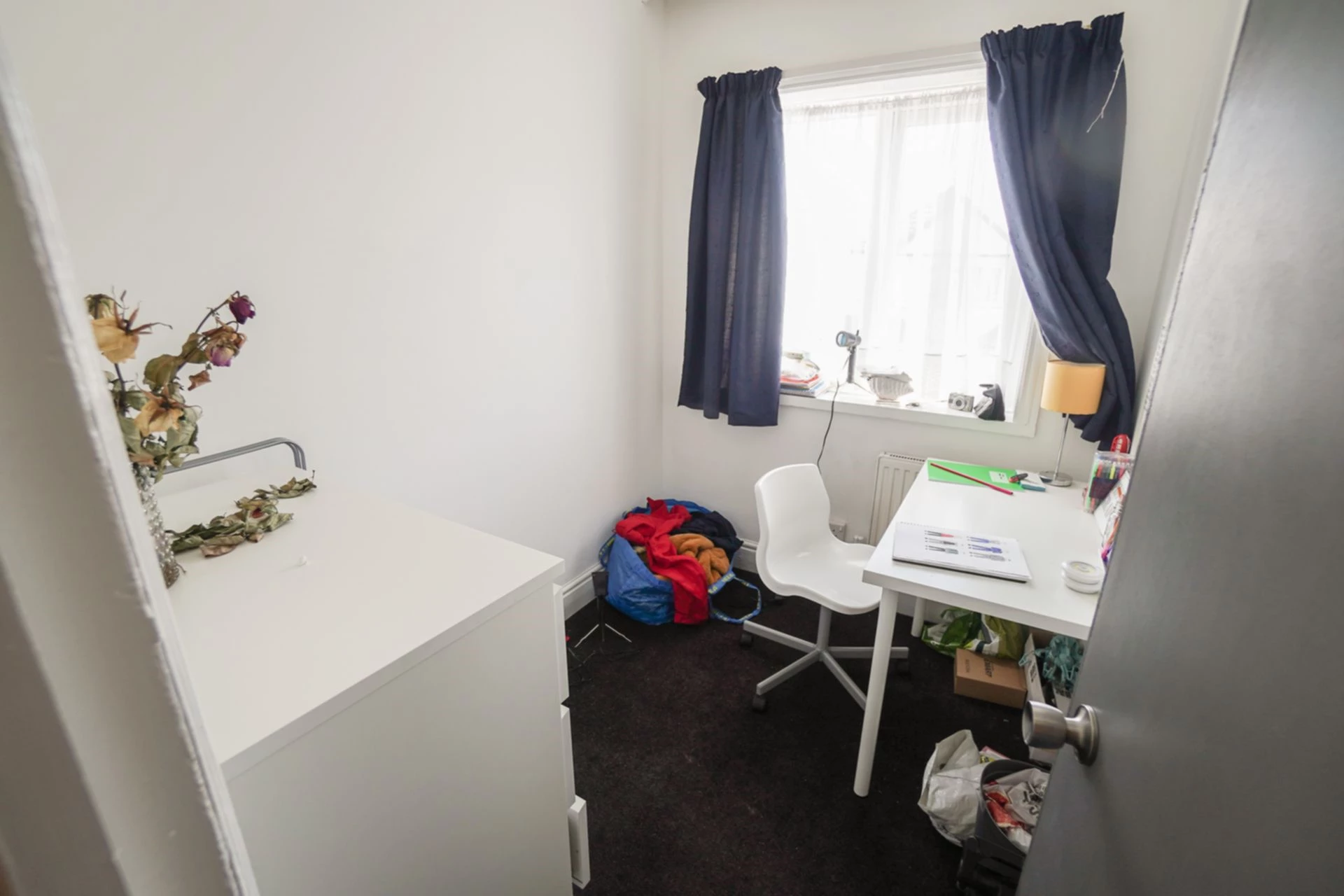 Photo 8