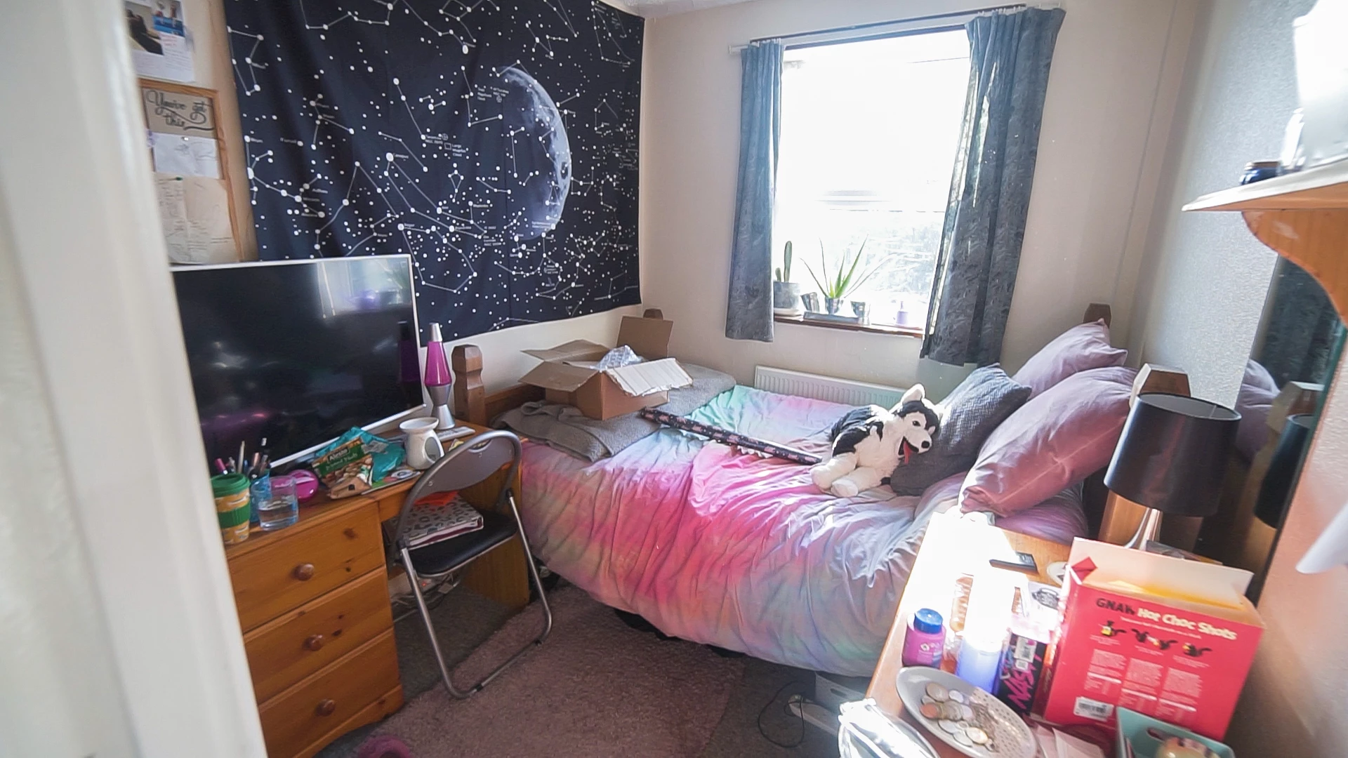 Photo 8