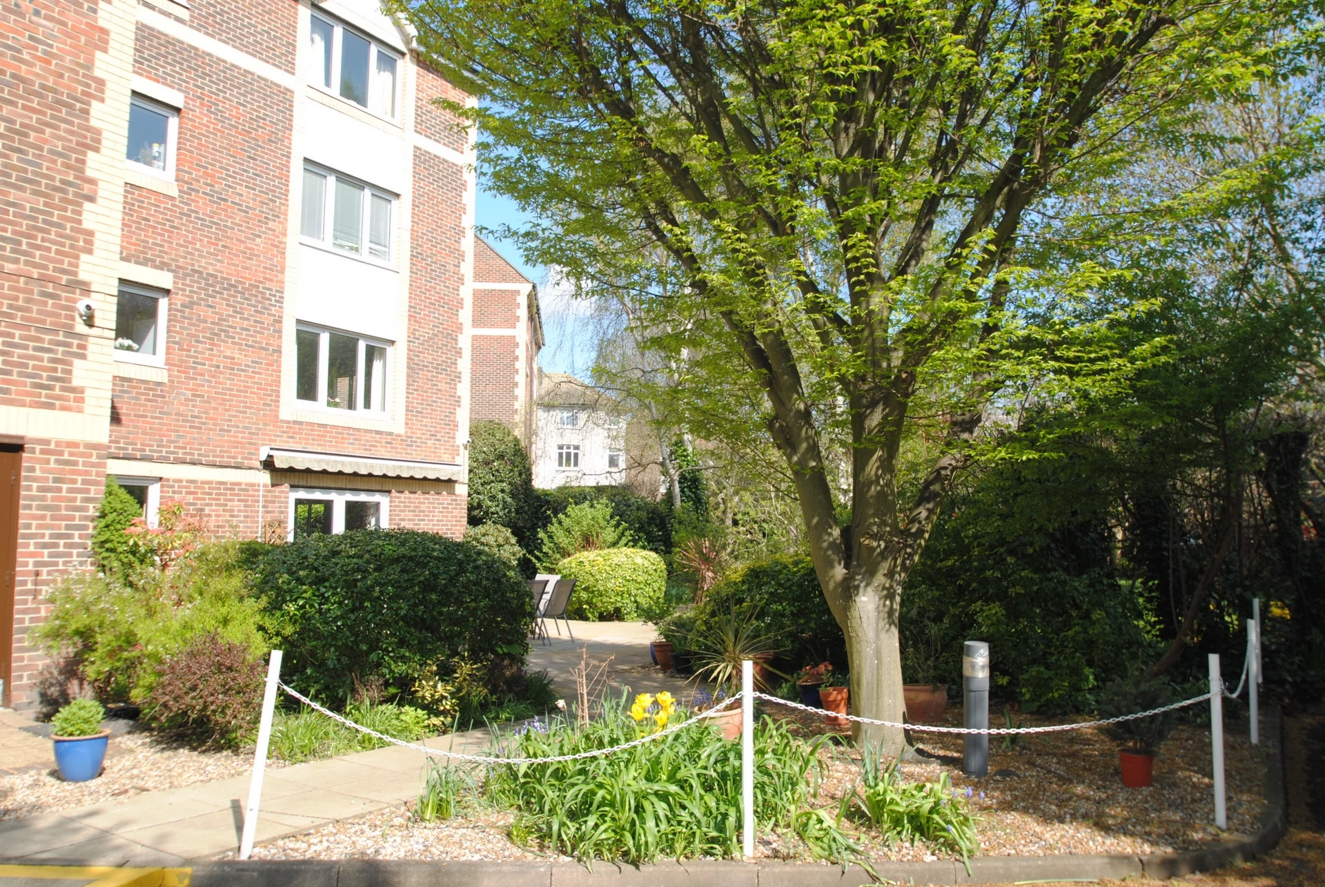 Photo 14