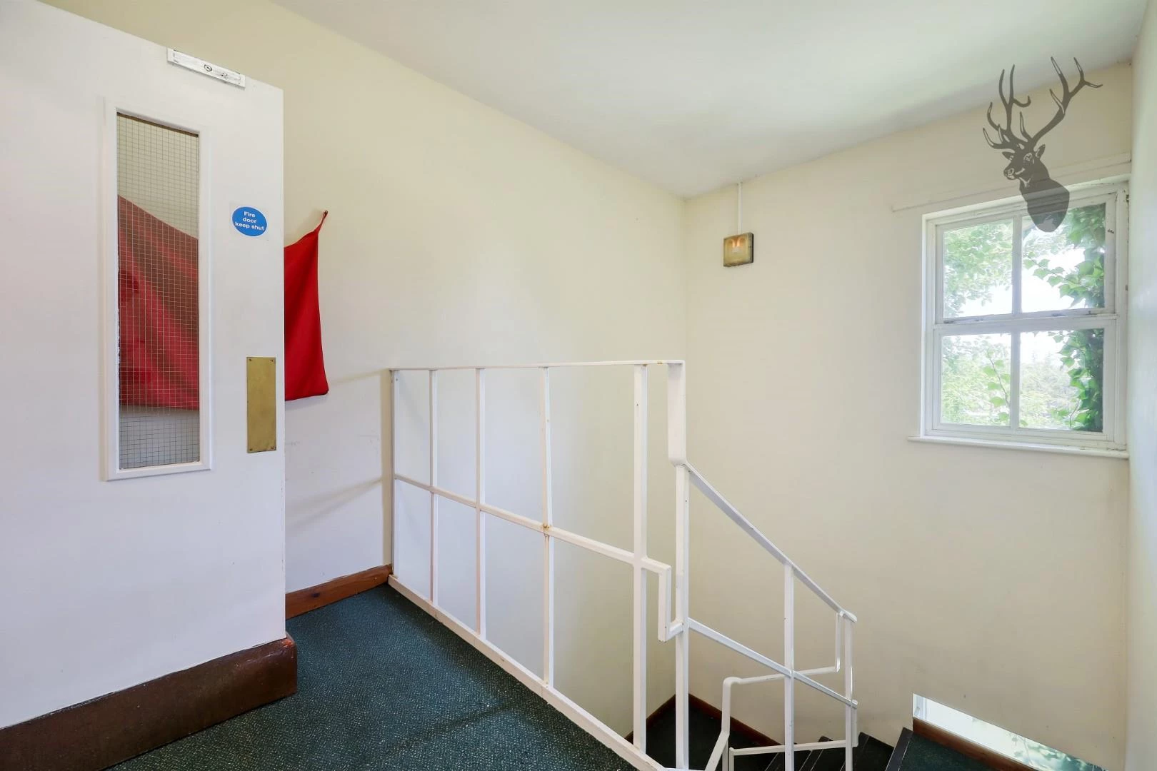 img_6563_12 copy.jpg