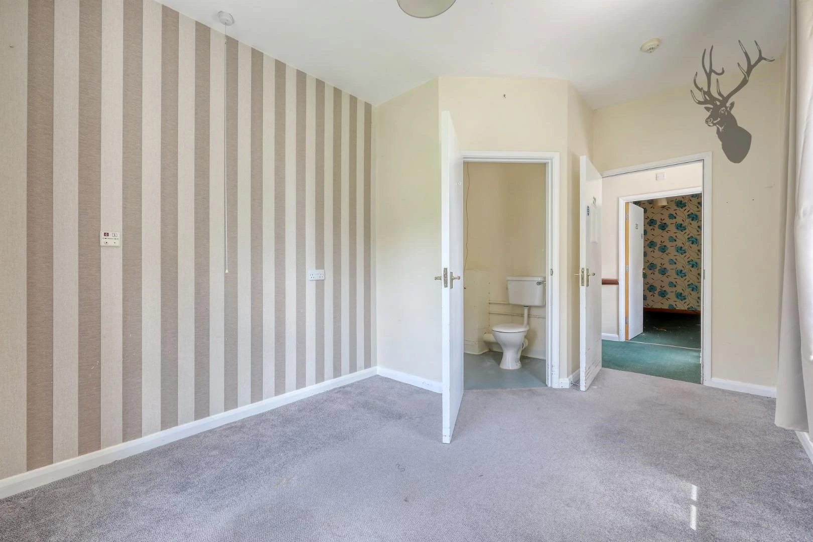 img_6565_13 copy.jpg