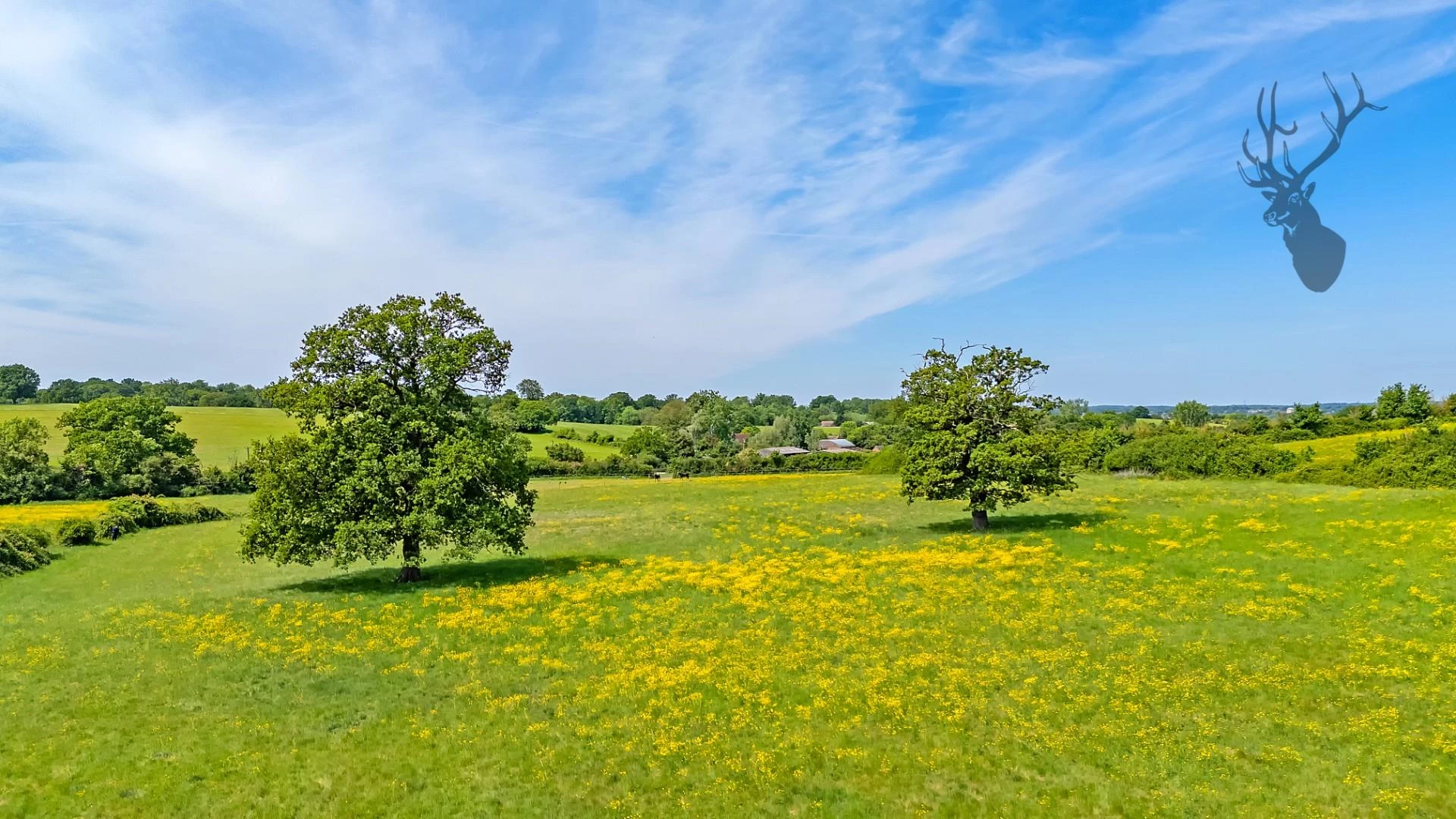 dji_20250520121911_0704_d copy.jpg