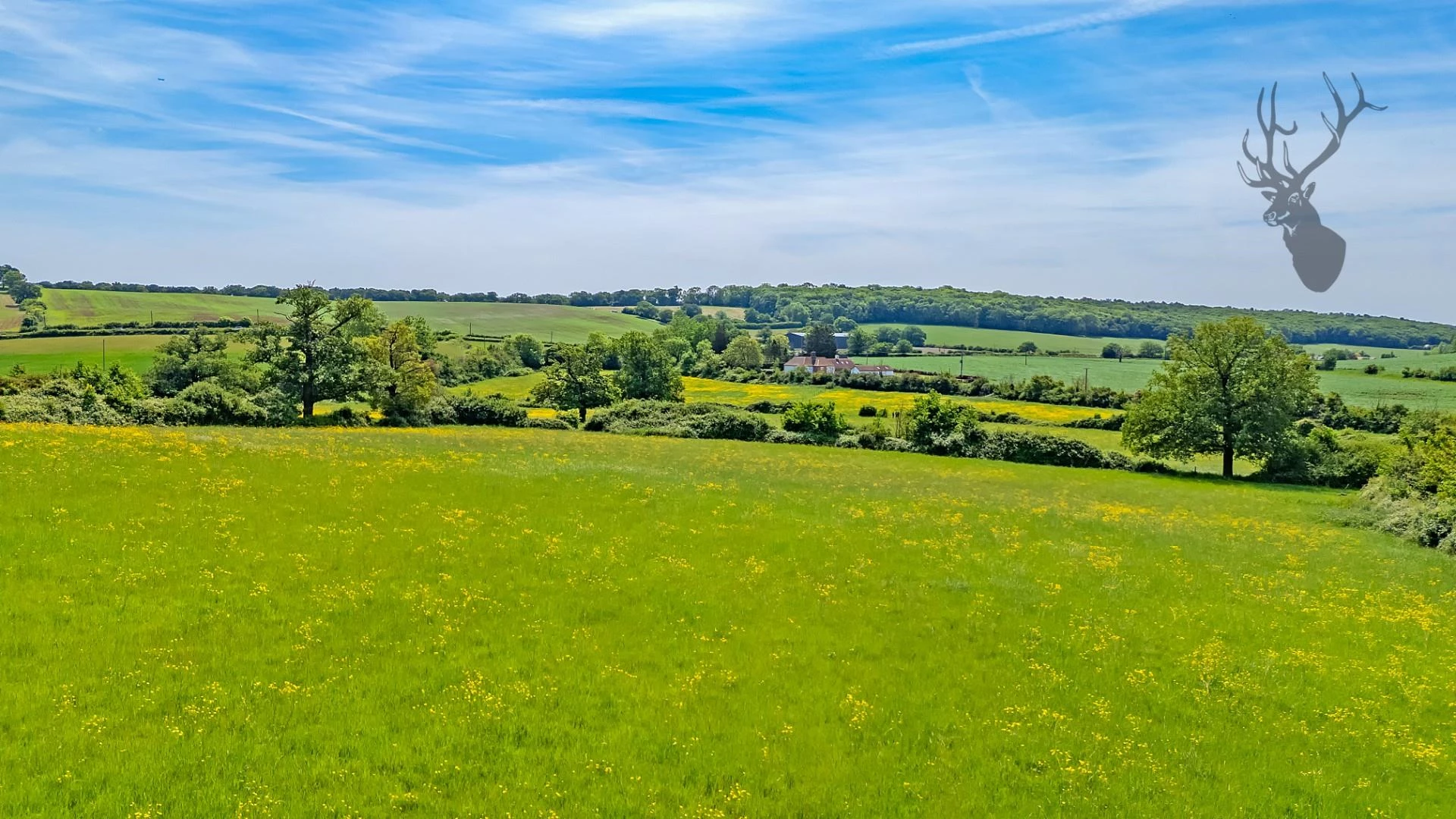 dji_20250520122047_0710_d copy.jpg