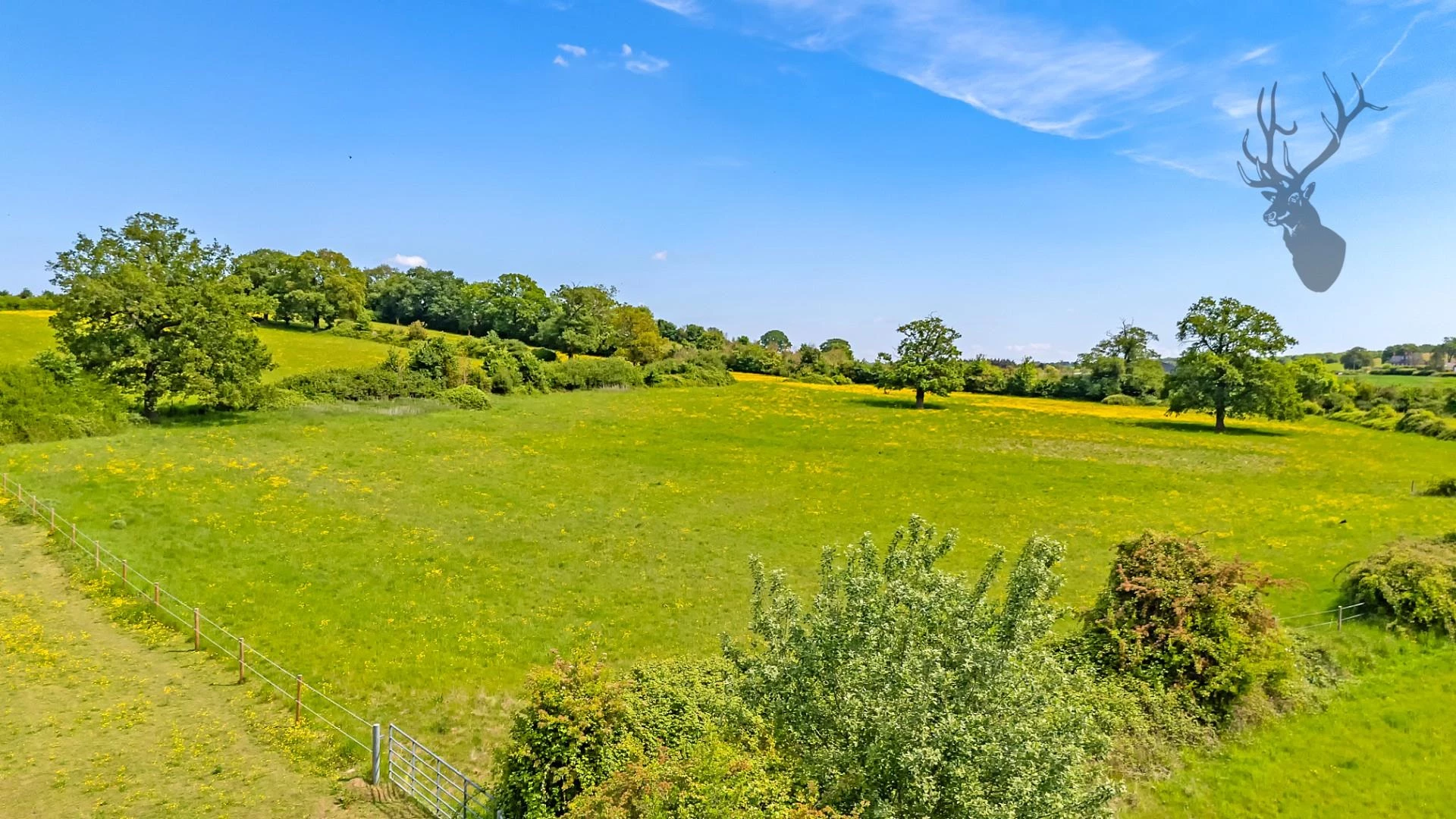 dji_20250520121507_0695_d copy.jpg