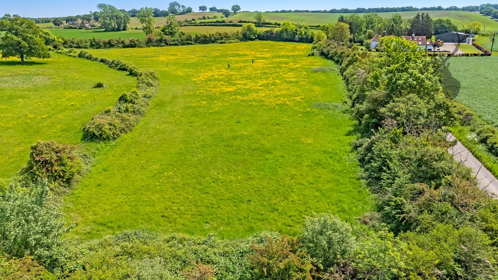 dji_20250520121535_0696_d copy.jpg