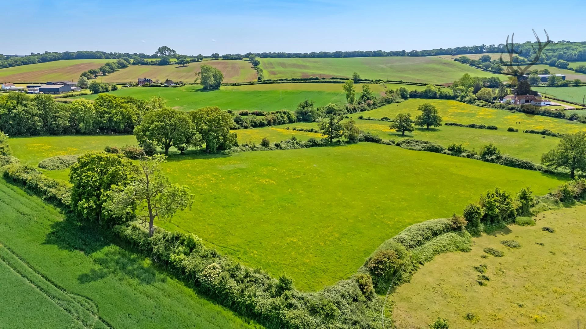 dji_20250520121717_0699_d copy.jpg