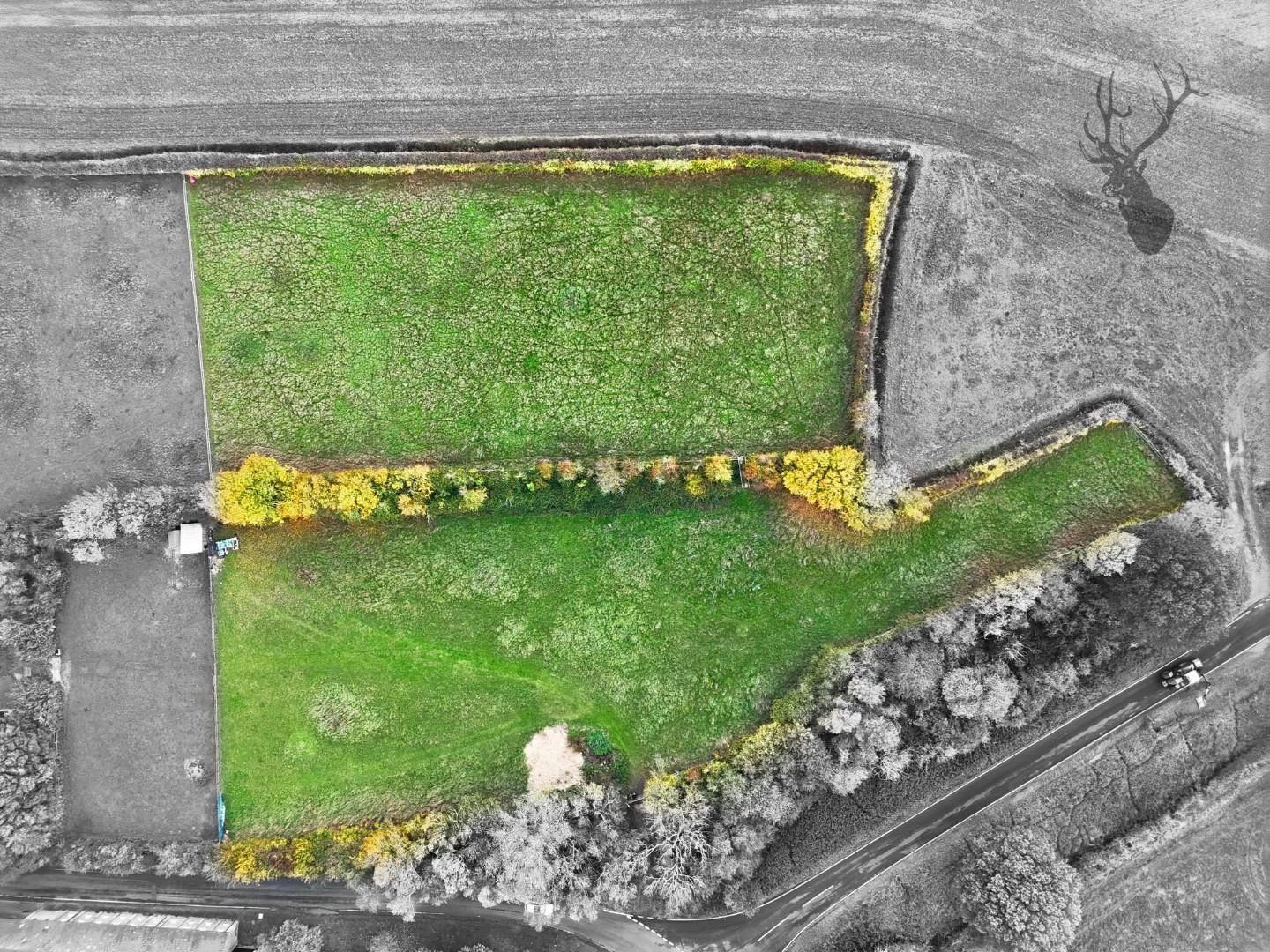 Blacked Out Picture.jpg