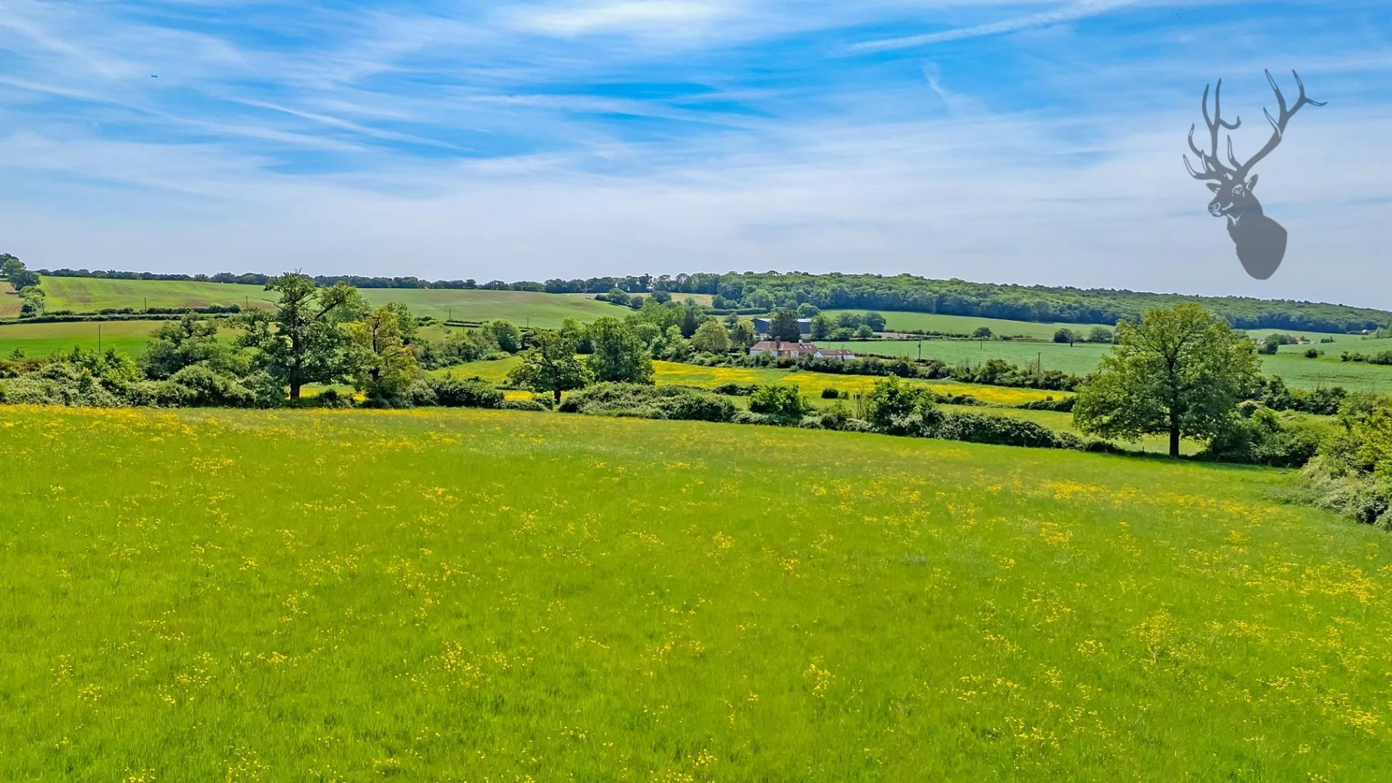 dji_20250520122047_0710_d copy.jpg
