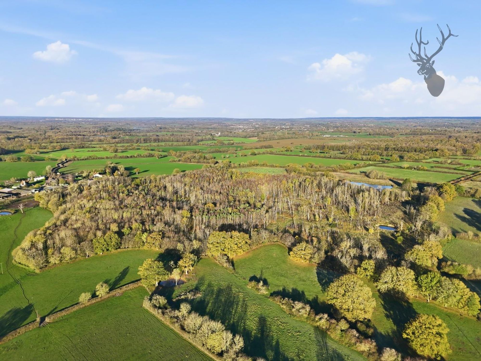 015_dji_20251120091807_0137_d.jpg