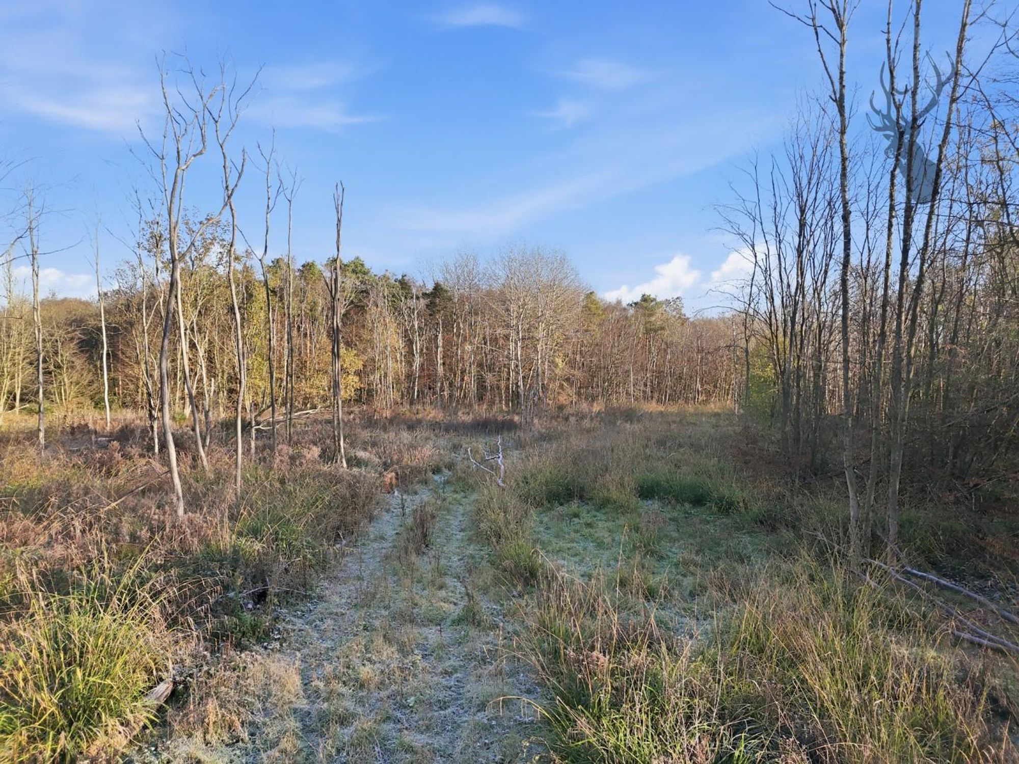 020_dji_20251120092420_0143_d.jpg