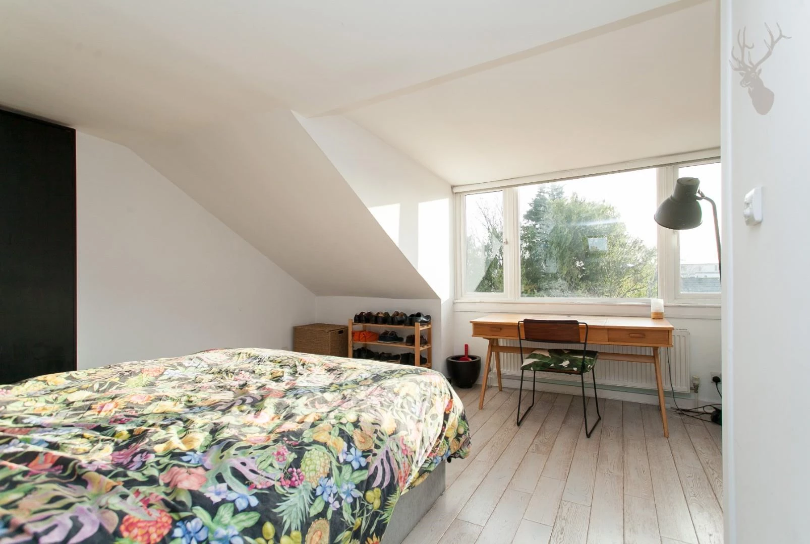 Colvestone Crescent (12).jpg