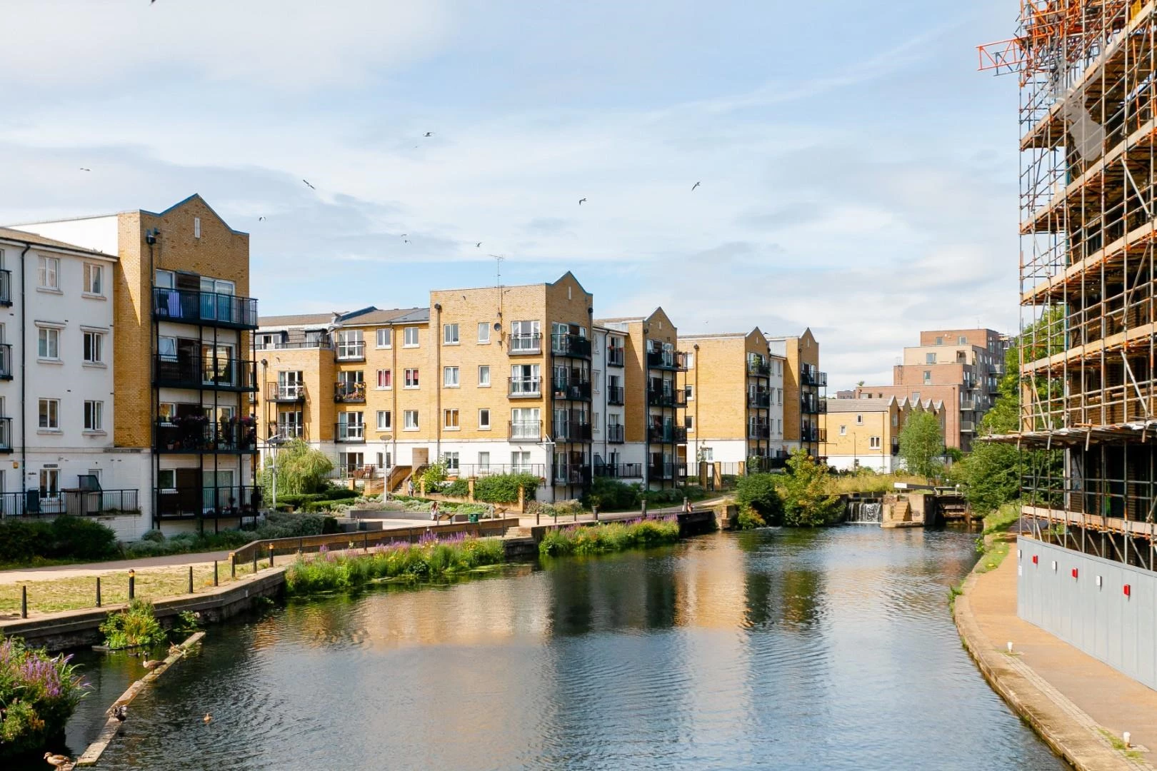 Tramway Court (22).jpg