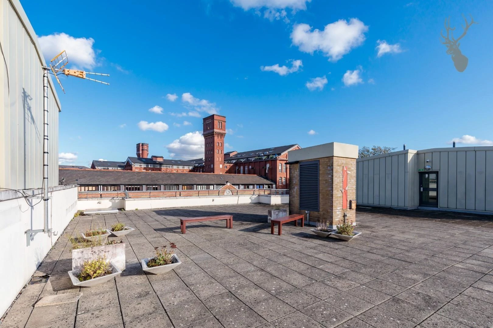 Roof Terrace.jpg