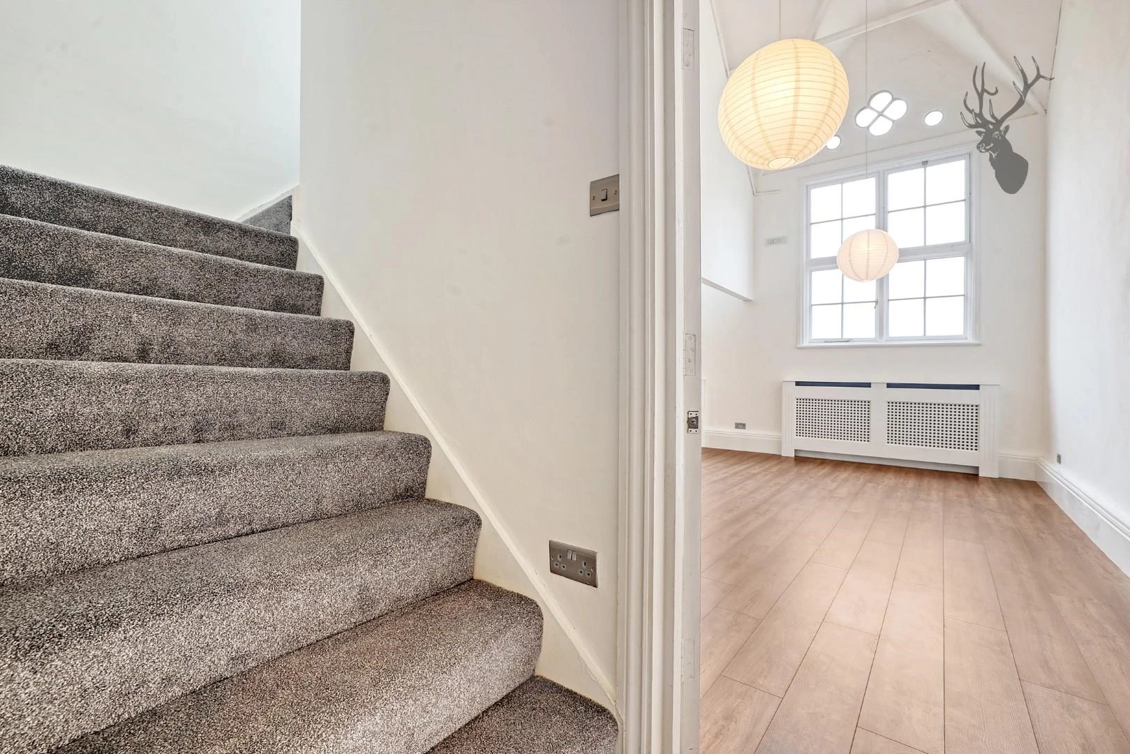 IMG_6832_11 copy.jpg