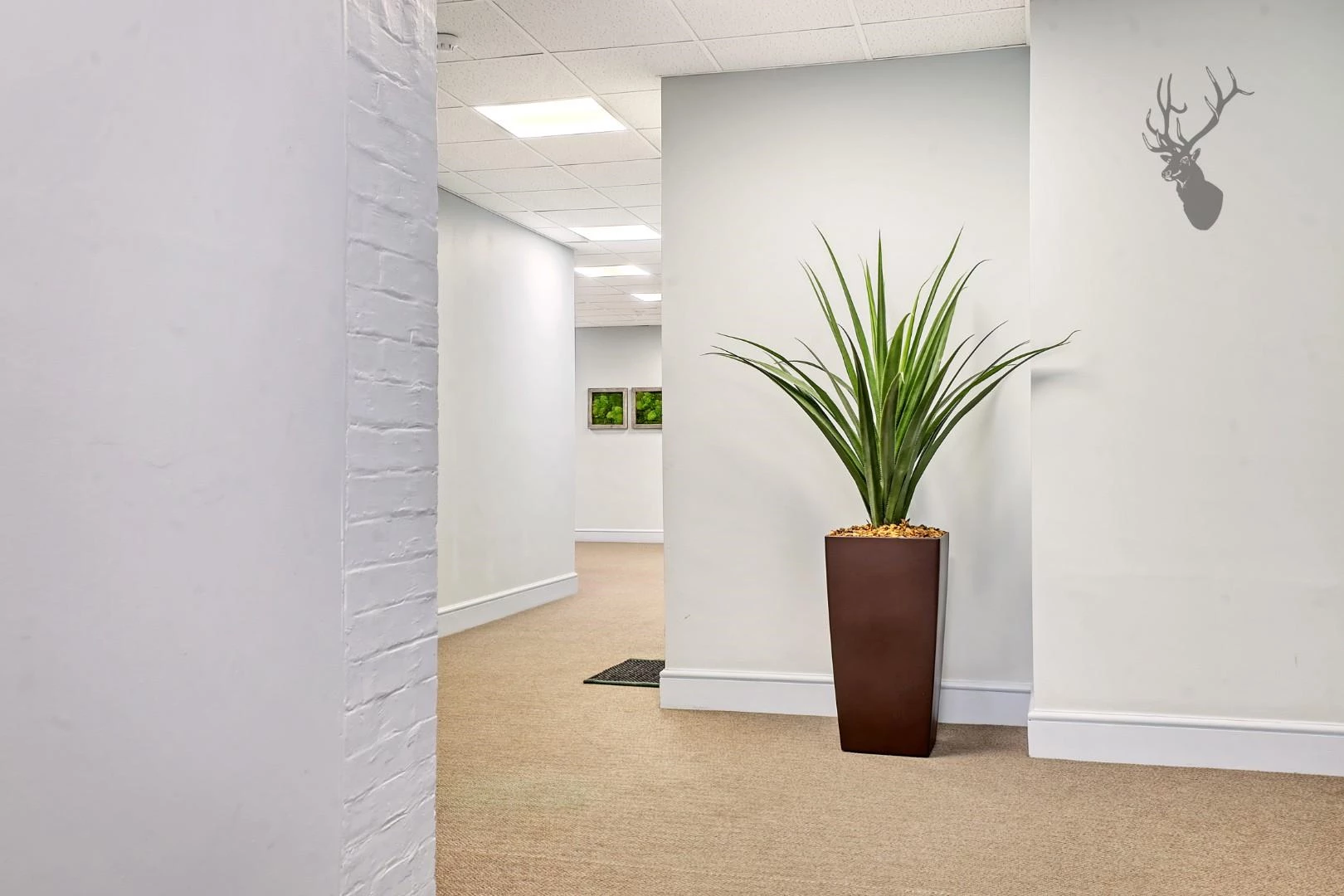 IMG_6865_15 copy.jpg