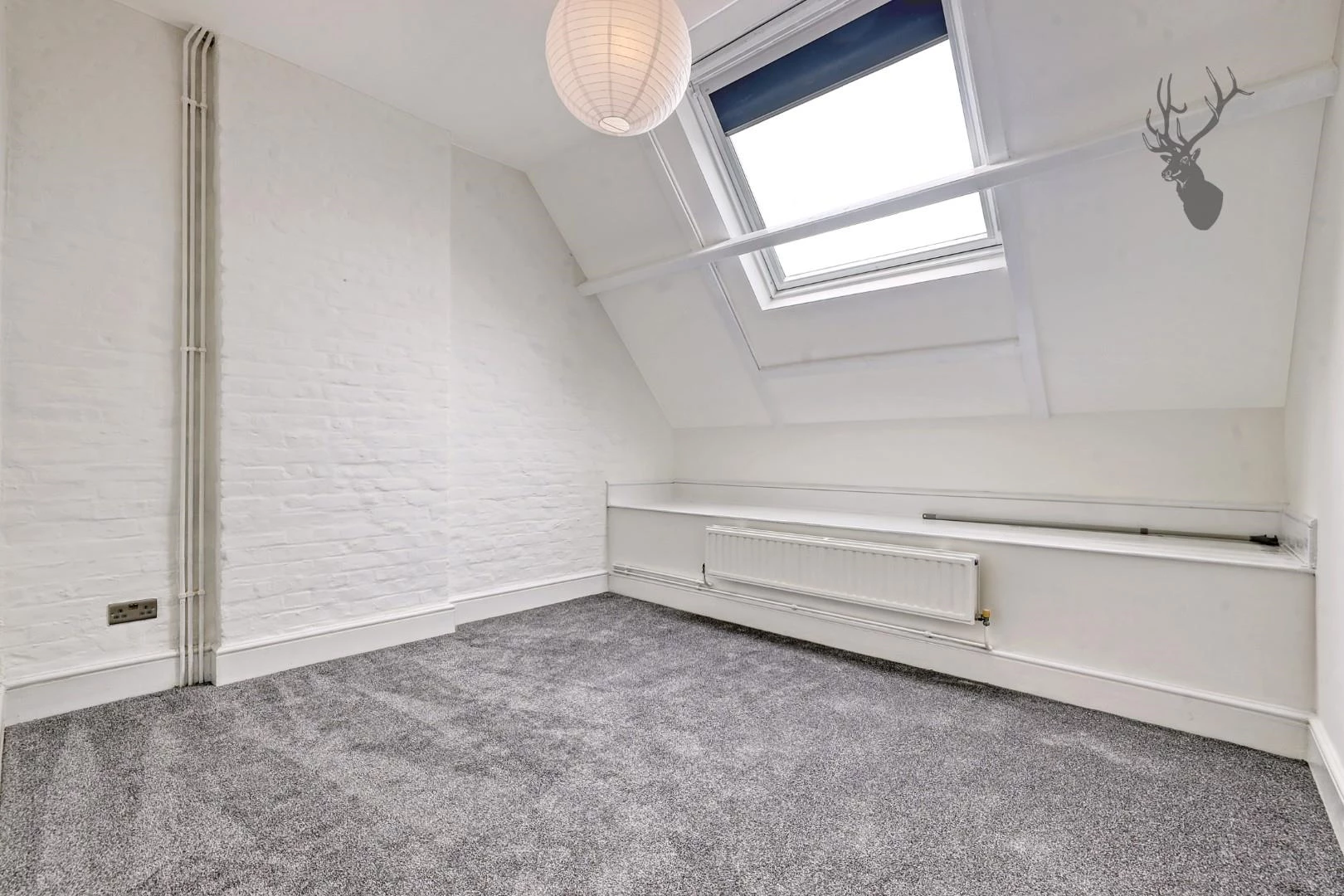 IMG_6839_12 copy.jpg