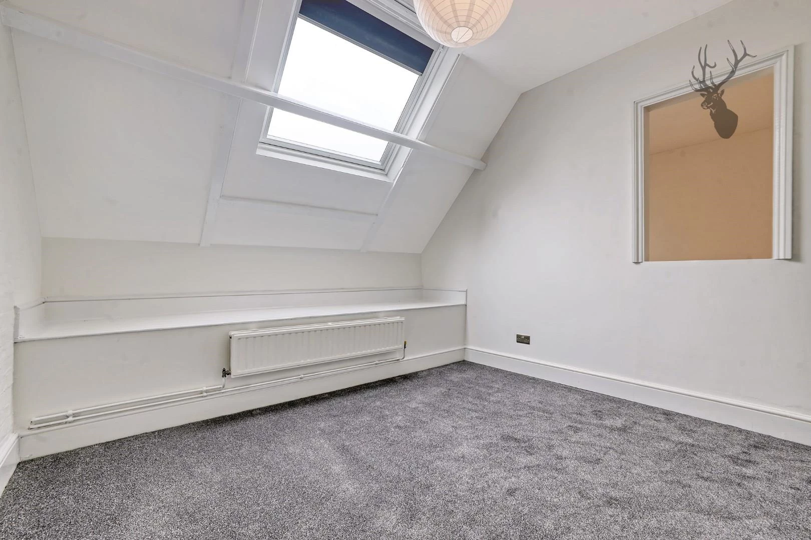 IMG_6846_13 copy.jpg